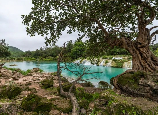 wadi darbat salalah oman